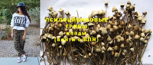 каннабис Аркадак