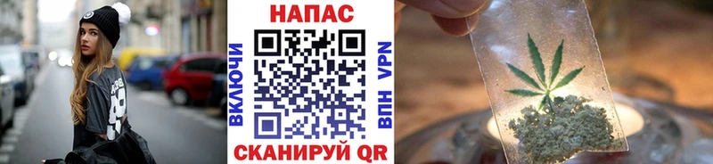 купить наркотики цена  Можга  Бошки Шишки Bruce Banner 